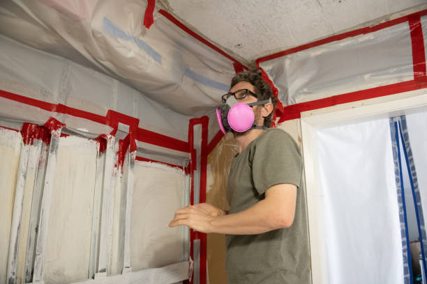 Best Mold Odor Removal Services  in El Rio, CA