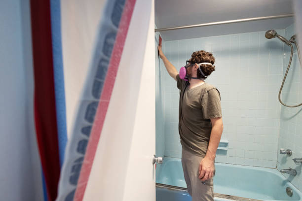 Dehumidification Services in El Rio, CA