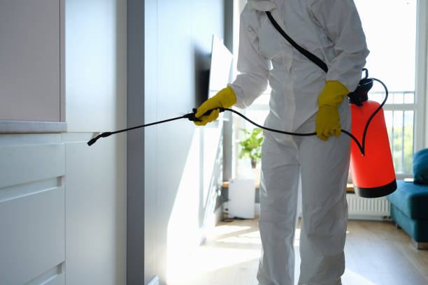 Best Mold Remediation for Healthcare Facilities  in El Rio, CA