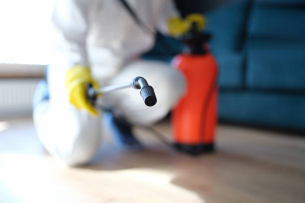 Best Indoor Air Quality Assessment  in El Rio, CA