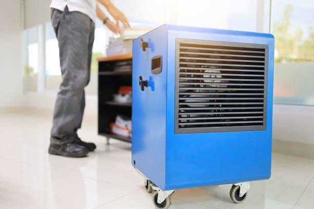Mold Odor Removal Services in El Rio, CA