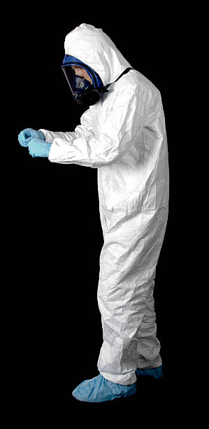 Best Asbestos and Lead Testing During Mold Inspection  in El Rio, CA