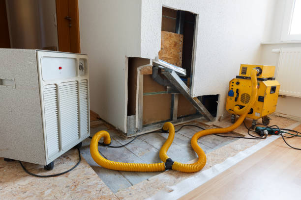 Best Commercial Mold Inspection  in El Rio, CA