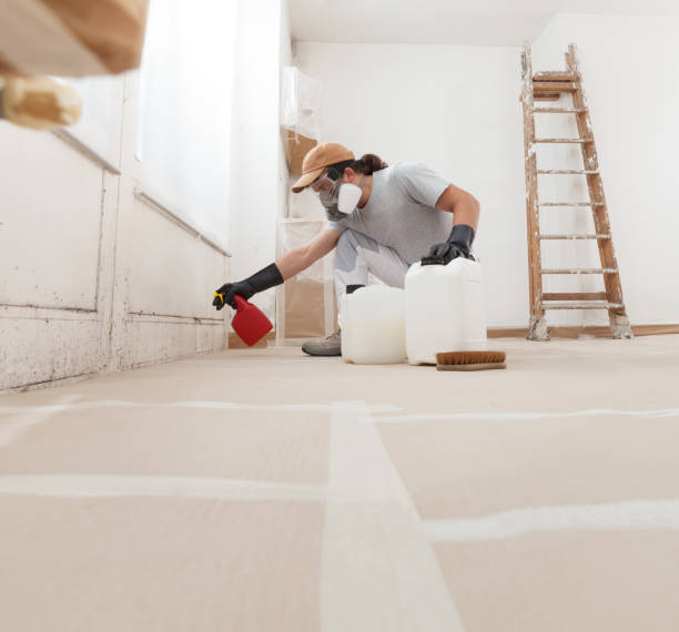 Best Industrial Mold Remediation  in El Rio, CA