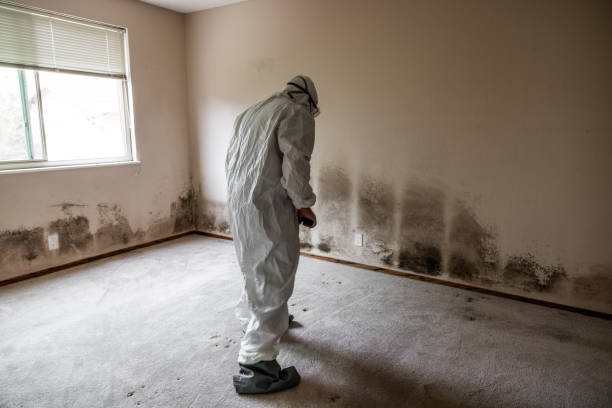 Best Biohazard Mold Removal  in El Rio, CA
